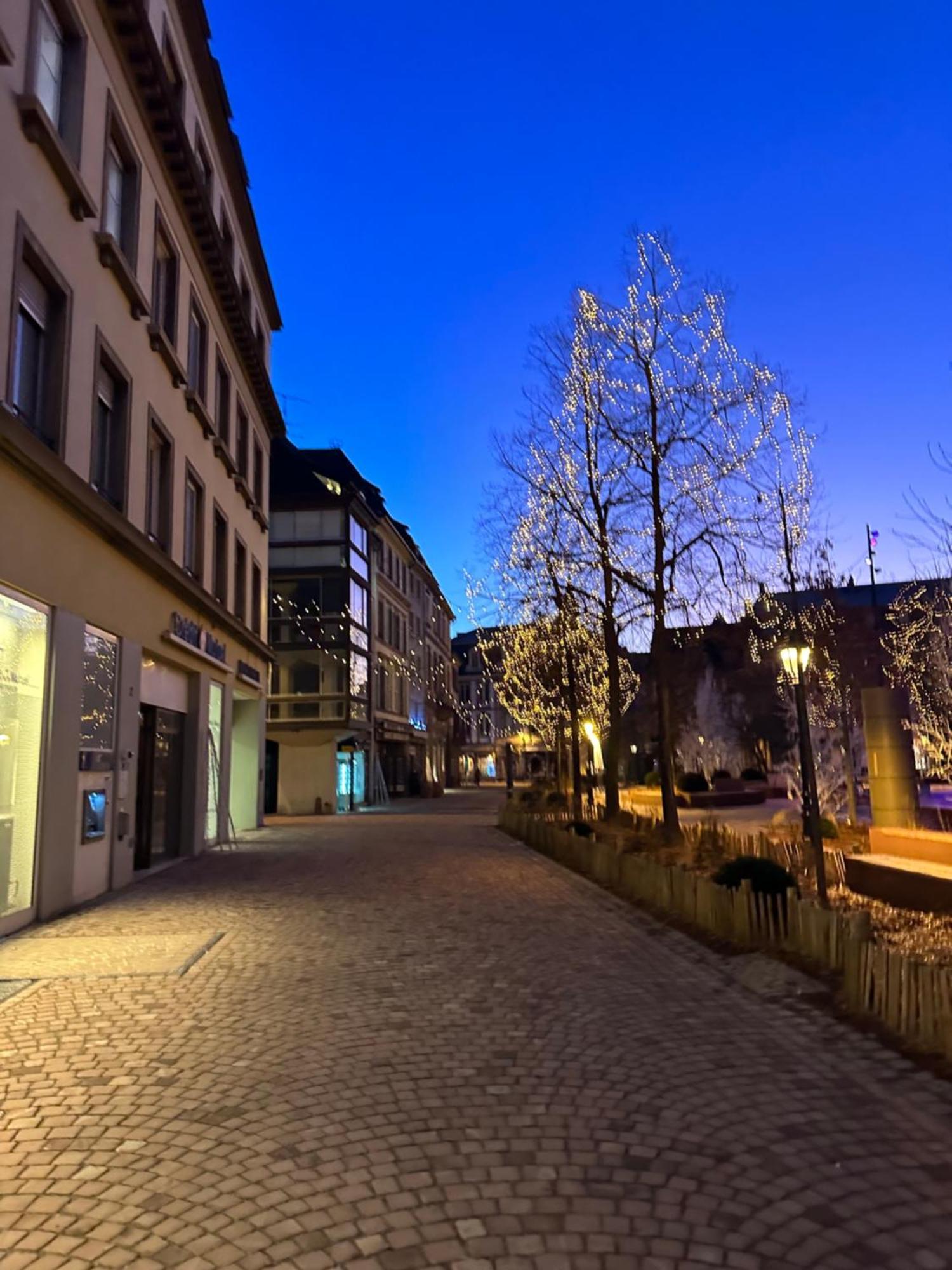 Le Muscat Apartment Colmar Ngoại thất bức ảnh