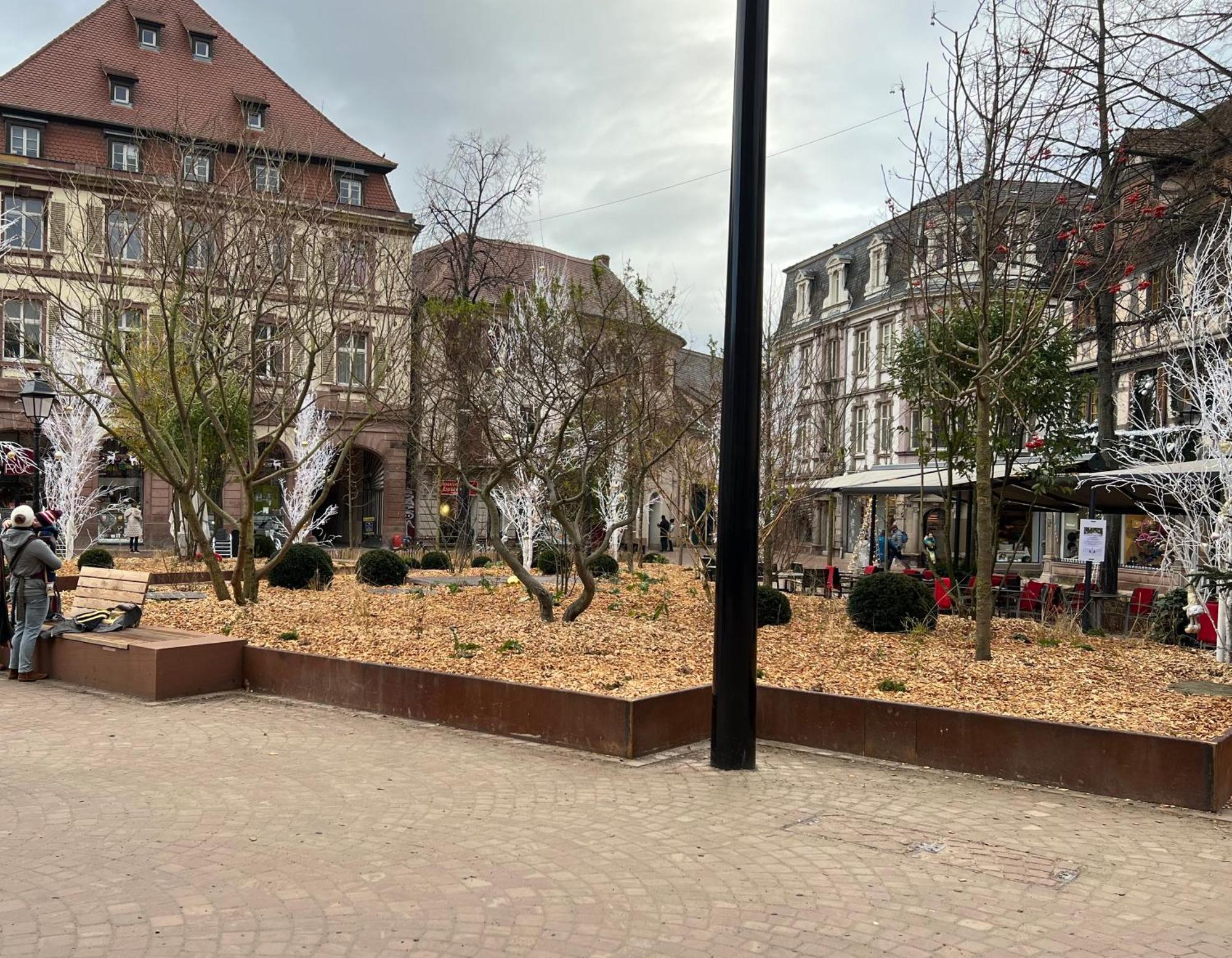 Le Muscat Apartment Colmar Ngoại thất bức ảnh