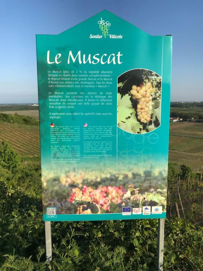 Le Muscat Apartment Colmar Ngoại thất bức ảnh